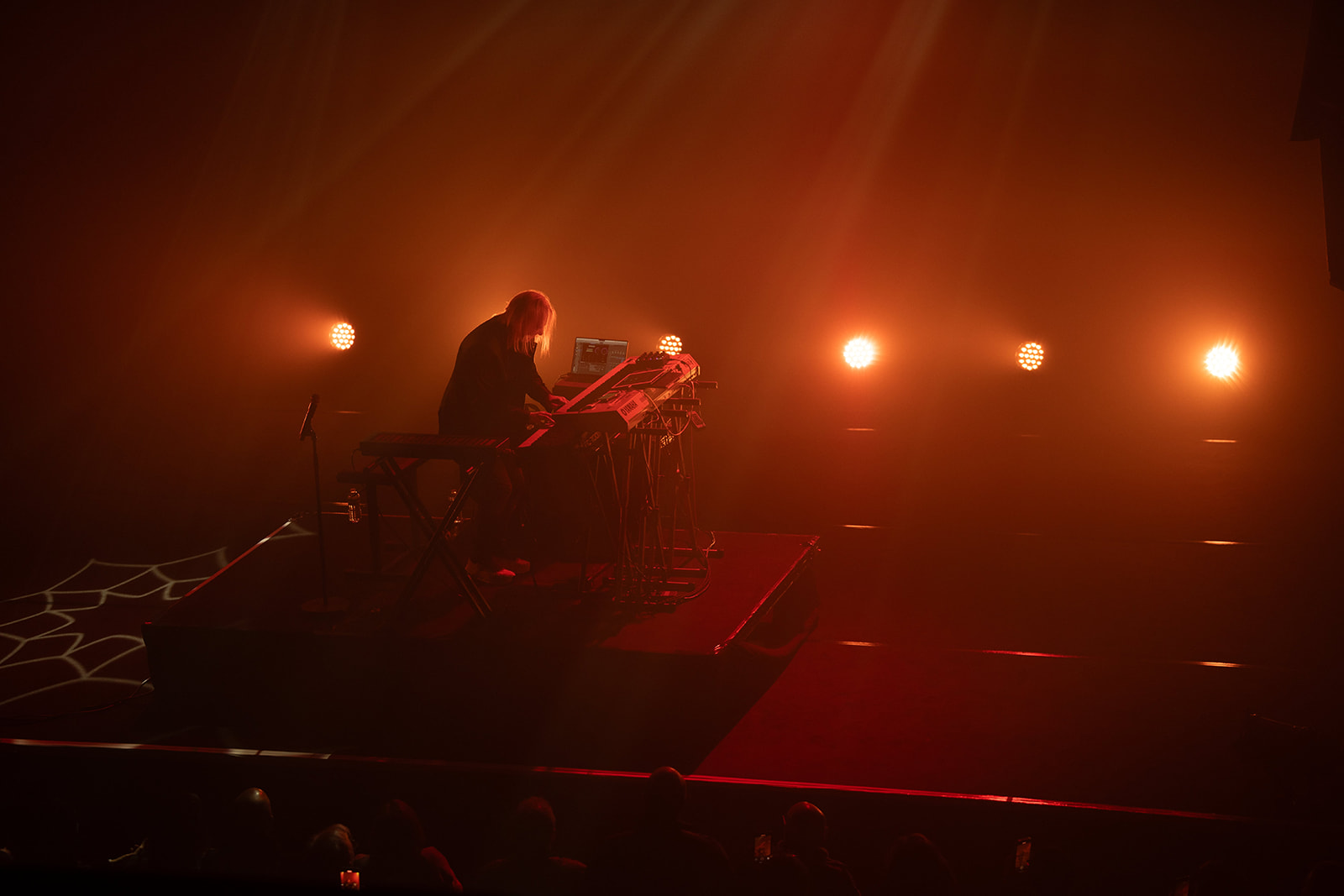 Deep Forest – silhouettes dans la lumière